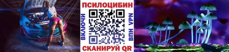 Купить закладки  Бакал  Галлюциногенные грибы Psilocybine cubensis 