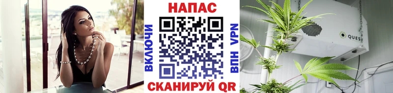 Купить закладки  Бакал  Марихуана SATIVA & INDICA 